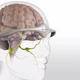 Imagen para el artículo titulado Un nuevo aparato, aprobado por la FDA, reduce y previene las migrañas